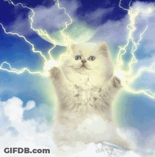 100 GIF