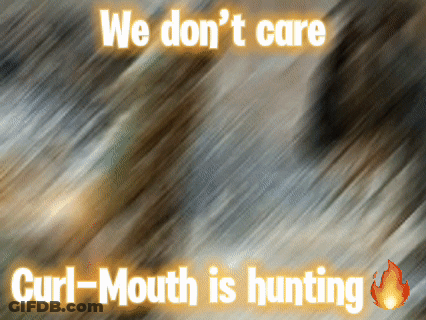 100% No Sign On Blue Green Background GIF
