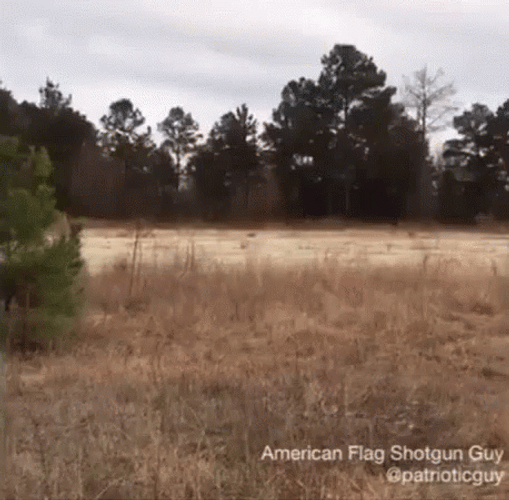 1776 American Flag Shotgun Guy GIF