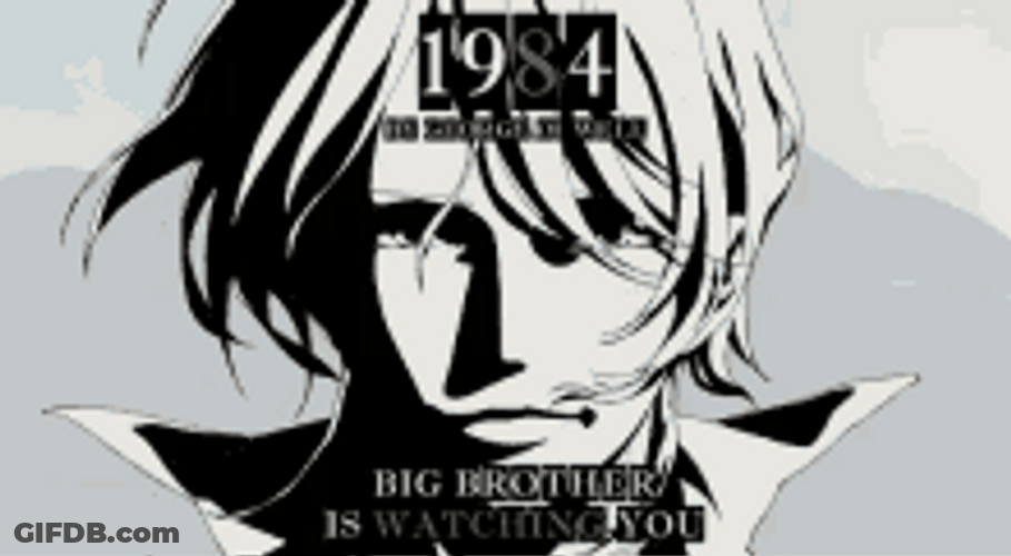 1984 Big Brother Watching You GIF