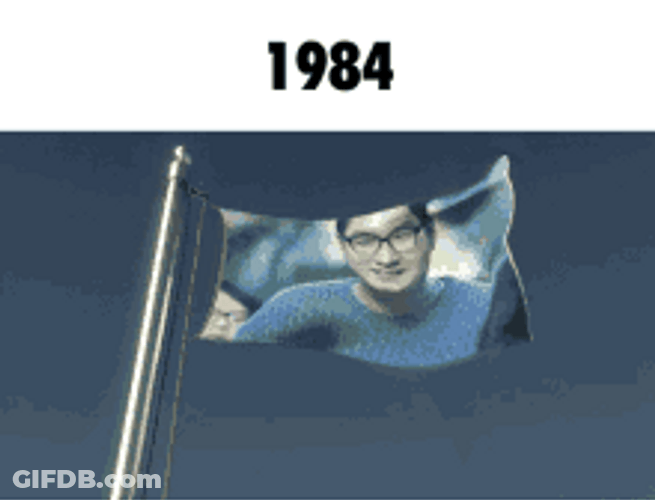 1984 Flag In The Wind GIF
