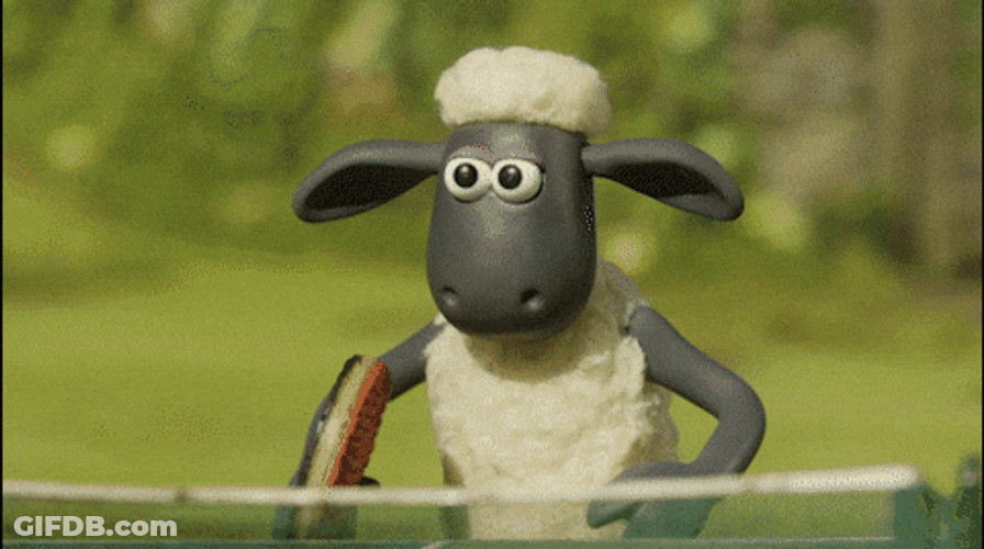 2 Black Sheep Table Tennis Competition GIF