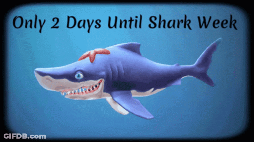 2 Days Until Shark Week Notice GIF