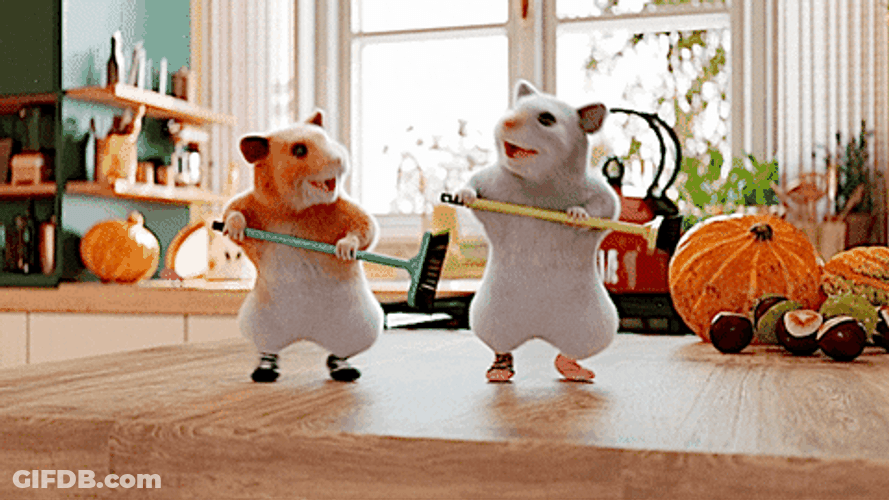 2 Hamster Dance While Holding Broom GIF
