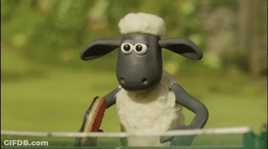 2 Sheep Playing Table Tennis GIF