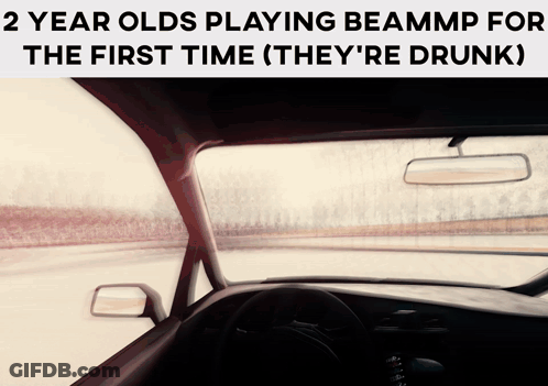 2 Year Olds Playing BeamMP For The First Time Car GIF