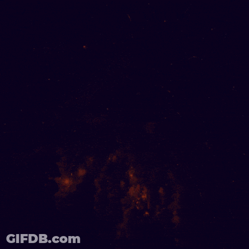 2024 Belongs GIF
