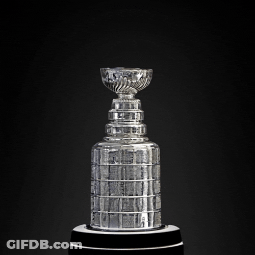 2024 Stanley Cup Sparkling GIF
