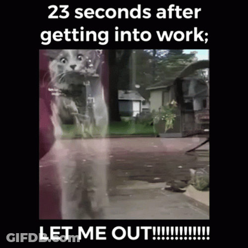 23 Seconds After Getting Work Let Me Out GIF