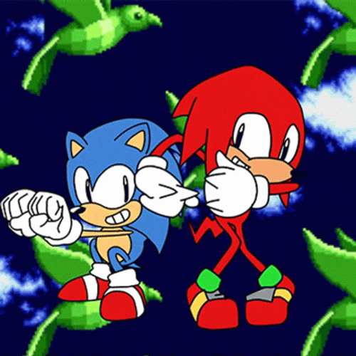 2D Video Game Sonic The Hedgehog And Knuckles Dancing GIF