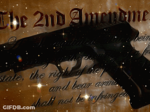 2Nd Amendment On Brown Background With Gun GIF