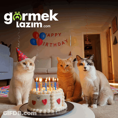 3 Cats Sitting At Birthday Cake GIF
