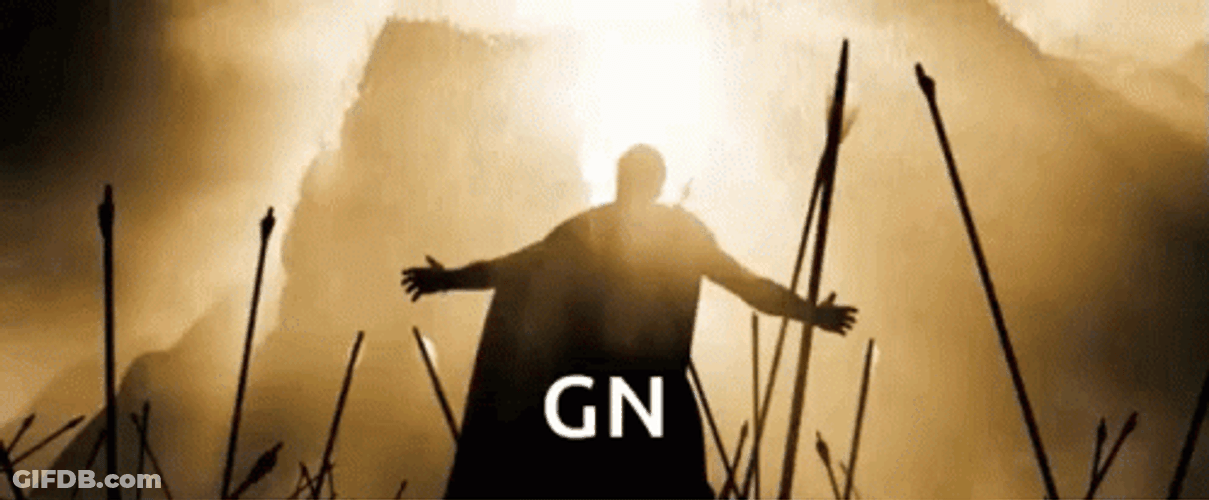 300 King Leonidas Embraces Death GIF