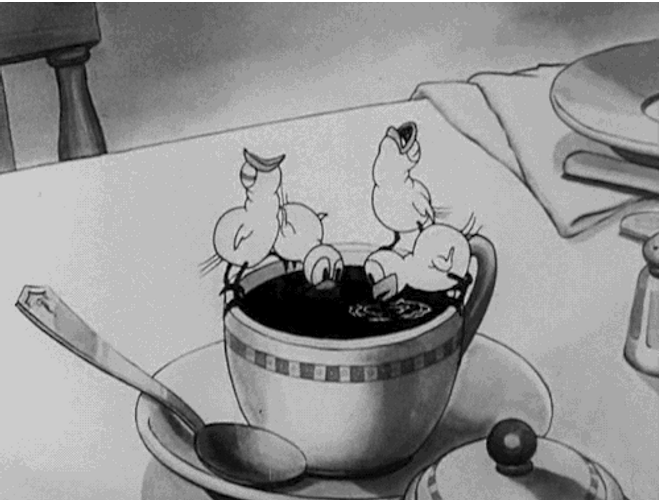 30S Coffee Wayward Canary GIF