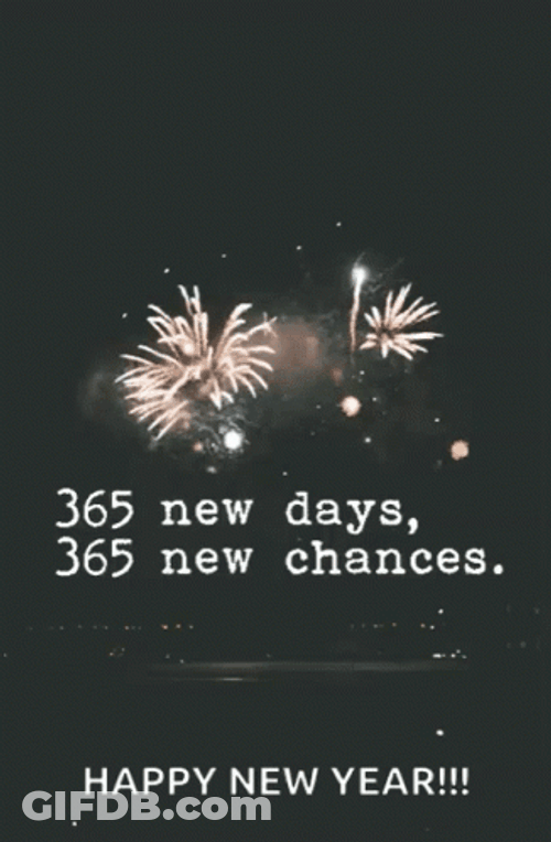 365 Days New Year GIF
