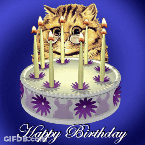 3D Birthday Cat Revolving Flower Cake GIF