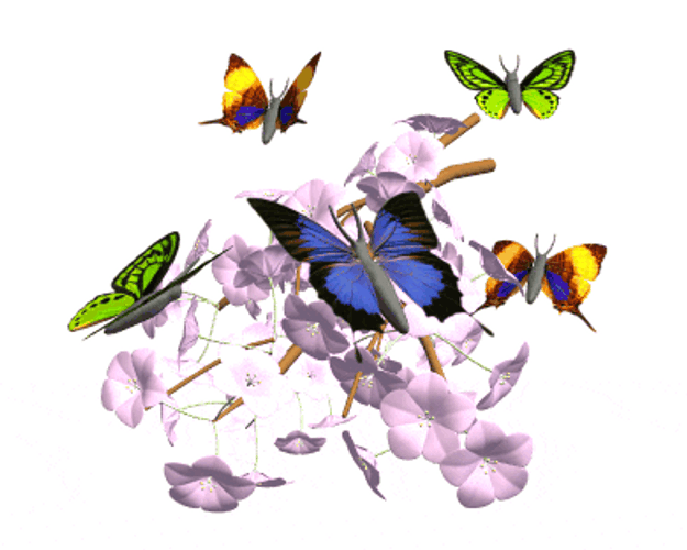 3D Butterflies On Flowers GIF