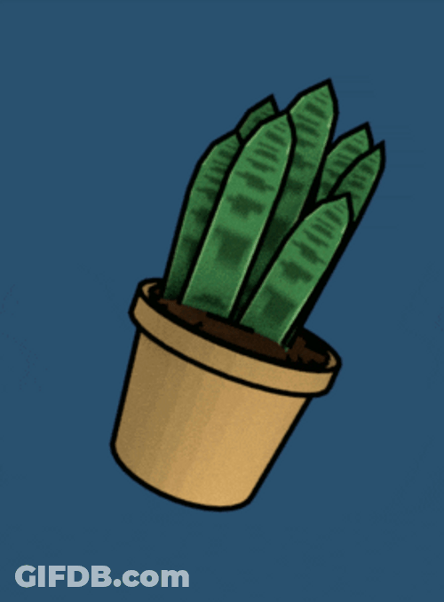 3D Cereus Jamacaru Plant Animation GIF