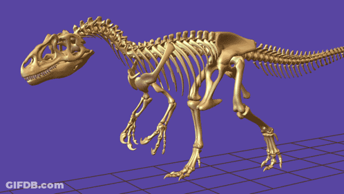 3D Dinosaur Skeleton GIF