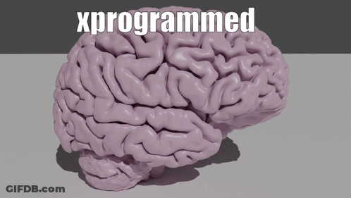 3D Human Brain With Xprogrammed GIF