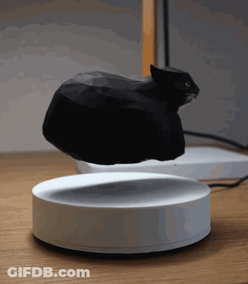 3D Printing Black Cat Spinning GIF
