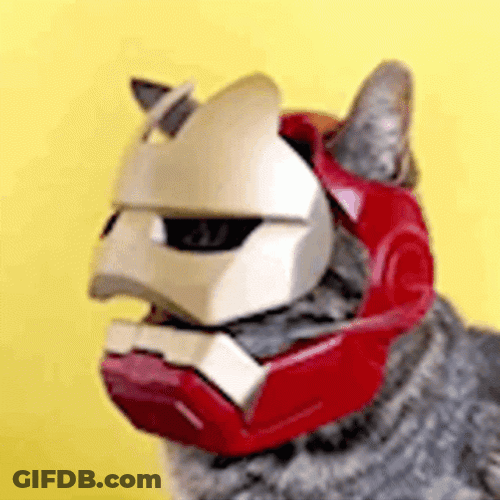 3D Printing Iron Man Hat For Cats GIF