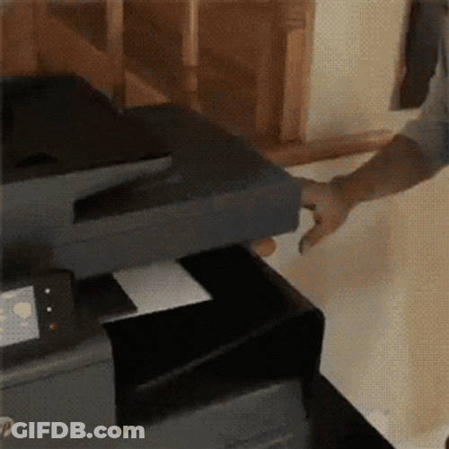 3D Printing Kitten Zach King GIF