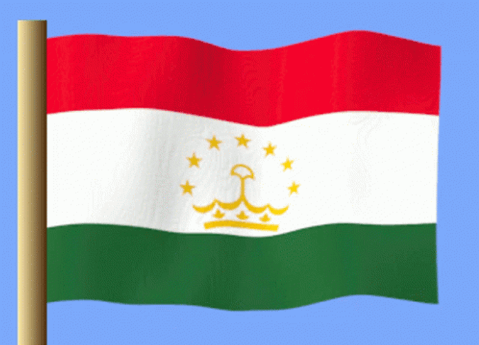 3D Tajikistan Waving Flag GIF
