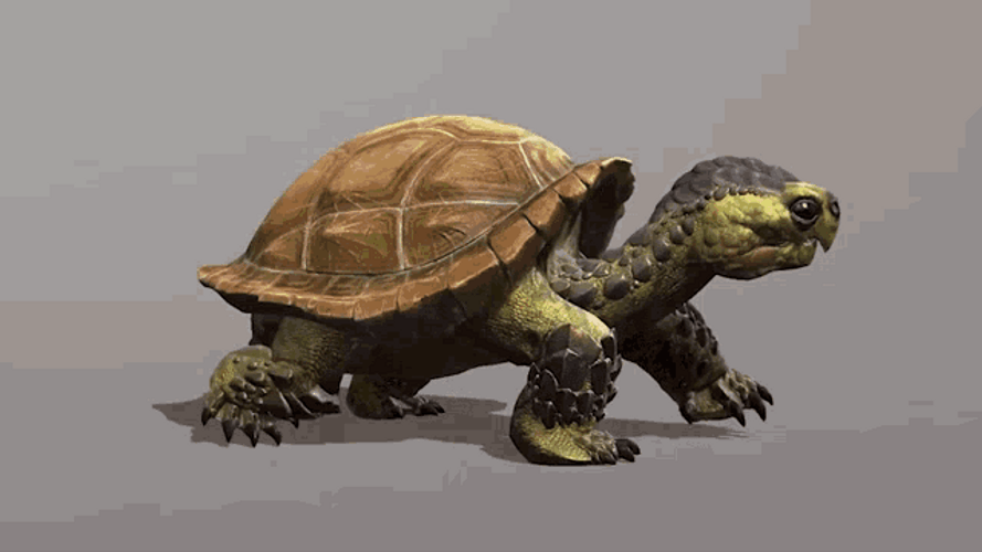 3D Turtle Walking Very Slowly Loop GIF