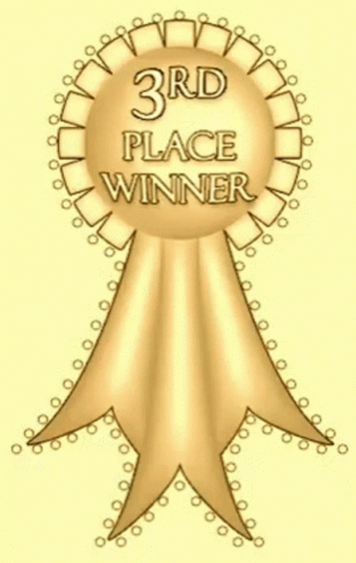 3Rd Place Winner GIF