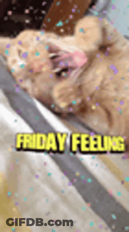 4 Day Weekend Friday Feeling GIF