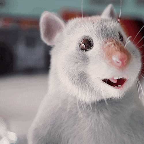 4 Hamster Dance Circling Hands Stomp Side To Side GIF