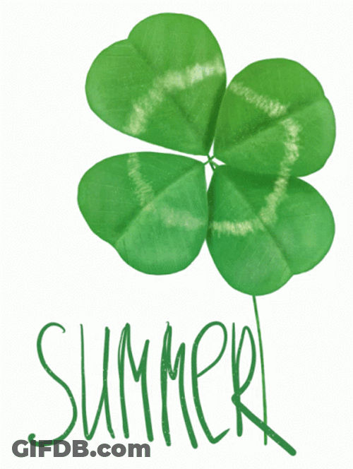 4 Leaf Clover Summer GIF