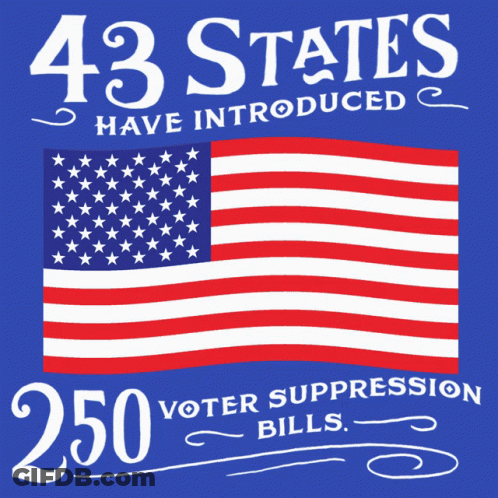 43 States Have Introduced 250 Voter Suppression Bills GIF