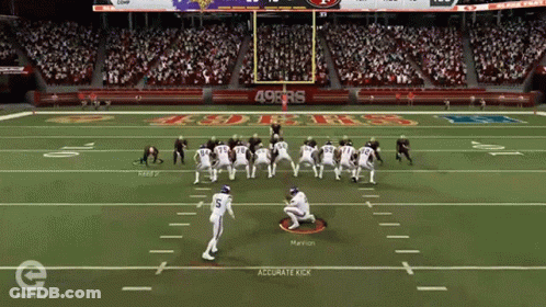 49Ers Football Game GIF