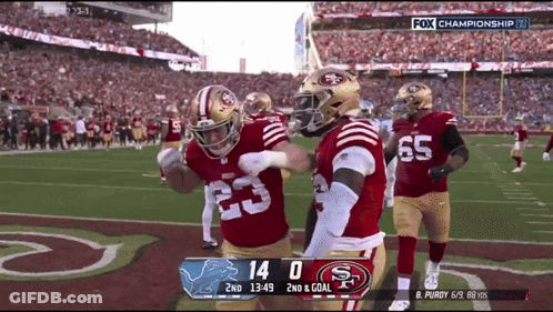49Ers Vs Detroit Lions Football Game GIF