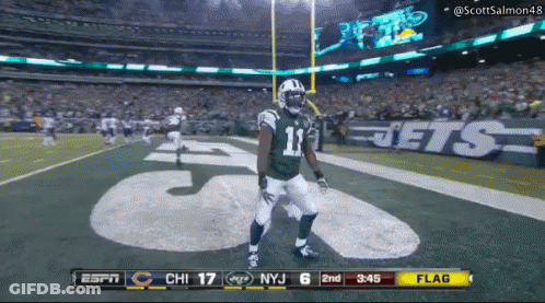 49Ers Vs Packers Fox Championship Game GIF