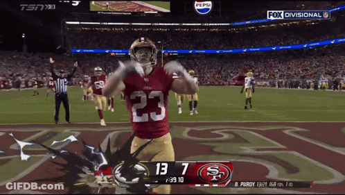 49Ers Vs Ravens Football Game GIF
