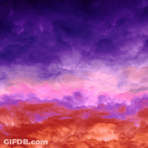 4K Violet Orange Morning GIF