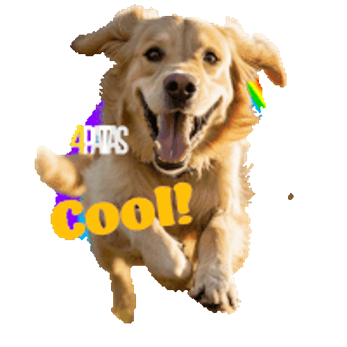4Patasmx Perrocool Sticker GIF