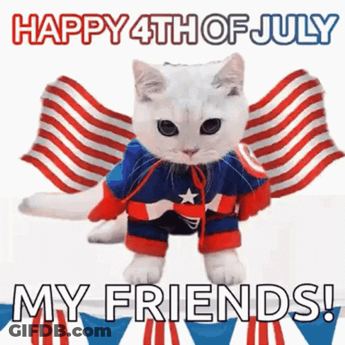 4Th Of July Funny Friends Captain America Cat GIF