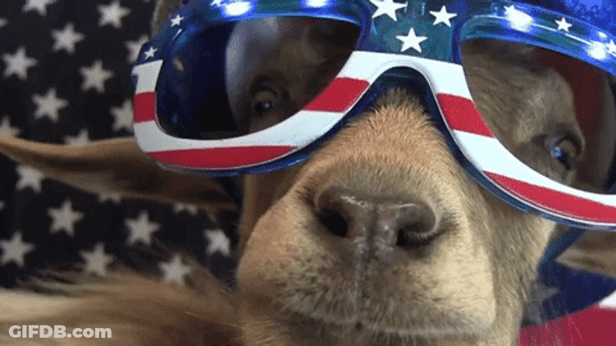 4Th Of July Funny Goat American Helmet Goggles GIF