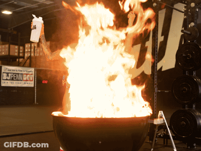 4Th Of July Funny Grilling Girl Ath Sport GIF
