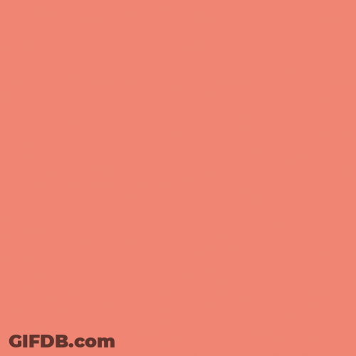 5 Fun Logo GIF