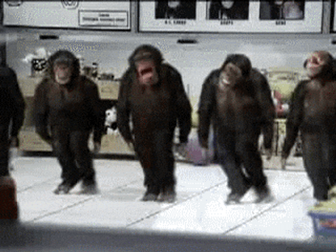 5 Monkey Foot Dancing Dance Fast Speed GIF