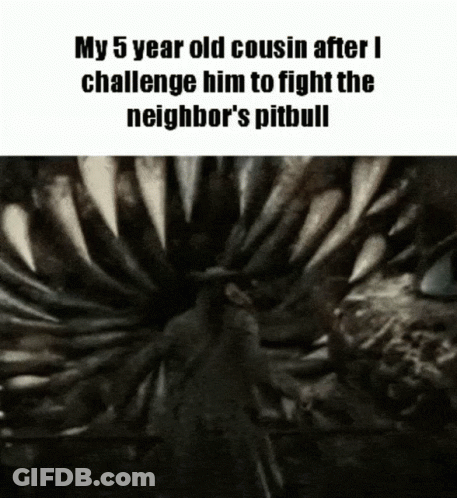 5 Year Old Cousin Challenged To Fight Neighbor's Pitbull GIF