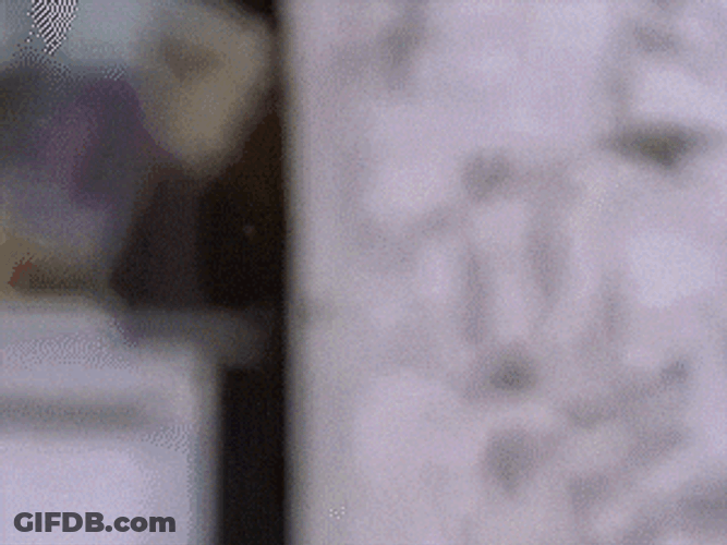 50 Cent Driving Meme Reverse GIF
