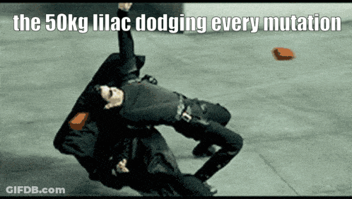 50Kg Lilac Dodging Every Mutation Above A Person GIF