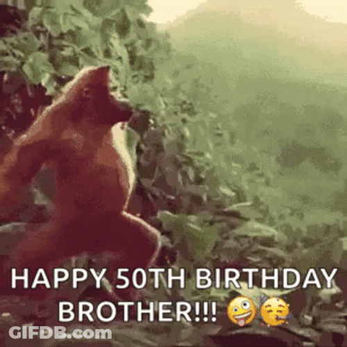 50Th Birthday Hilarious Monkey Dancing GIF