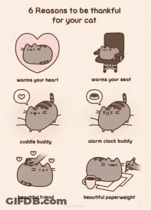 6 Reasons To Be Thankful For Your Cat Includes Cuddle Buddy And Alarm Clock Buddy GIF